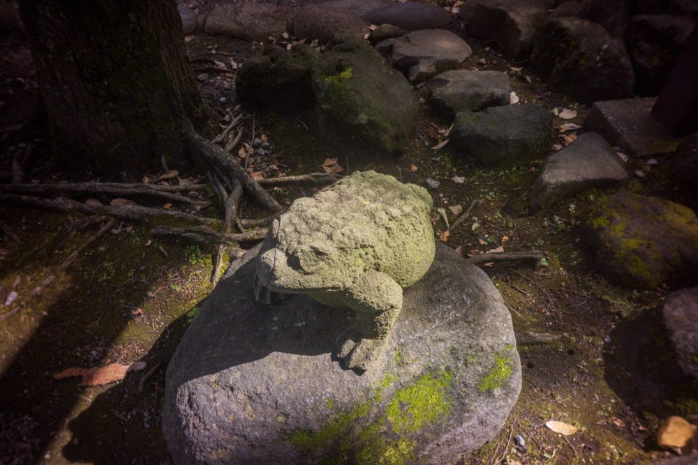 浅草寺の青蛙神像（東京・台東区）